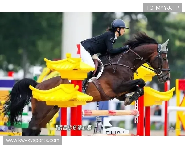 史上“最默契”的战术配合，团体合作引爆全场，团队默契合作的重要性